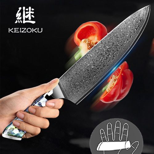 Damascus Steel Chef Knife 8 Inch, Santoku Knife, Boning Knife, Japanese Professional 10Cr15MOV Blade With Hand Forged Hammer Pattern, Ultra Sharp Kitc